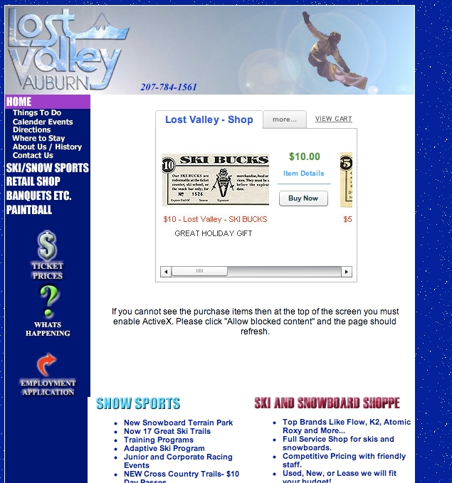 The ad (central) can reside on the client's own site, in this case Lost Valley Ski Resort.